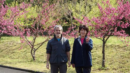 まだまだ緋寒桜
