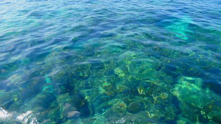海へ