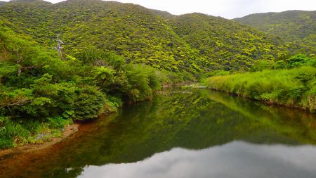 春、住用