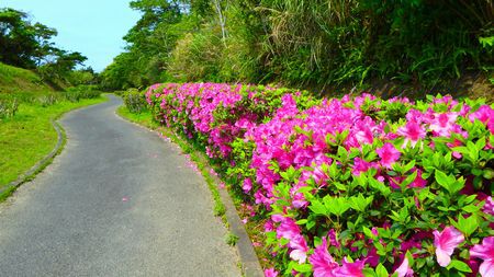 ４月３日の大浜海浜公園
