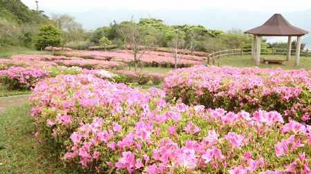 峰田山公園