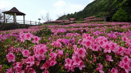 峰田山公園