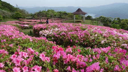峰田山公園
