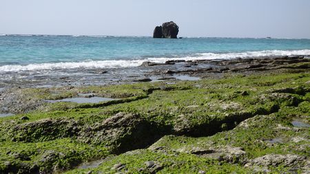 大浜眩しいぞ