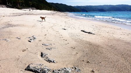 大浜眩しいぞ