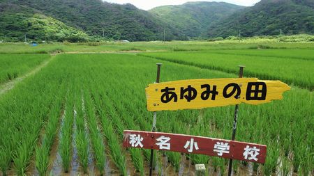 ぶら奄美