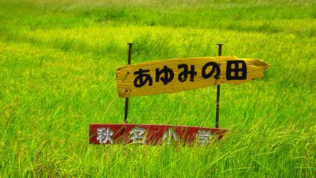秋が近づいている気配