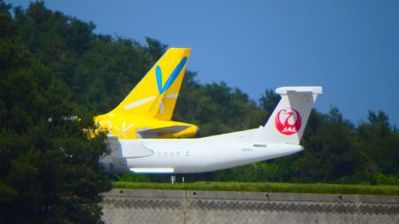 奄美で遊ぼう