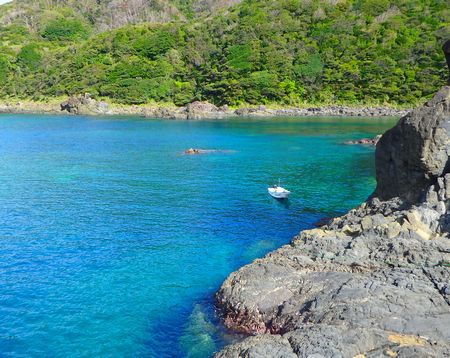 海に誘われて