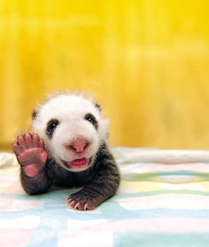 Ciao!