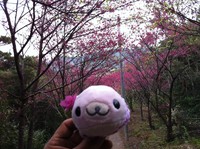むすめへ・・・ありがとう