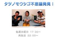 ★番組紹介★　タツノモウシゴ不思議発見！