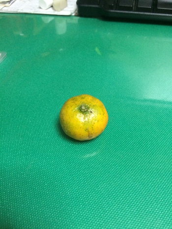 山椒は小粒でもぴりりと辛い！？