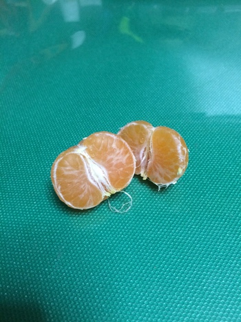 山椒は小粒でもぴりりと辛い！？