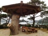 龍郷町～アラバ地区編～