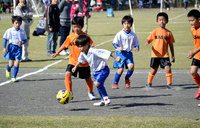 ドラゴンJOYCUP