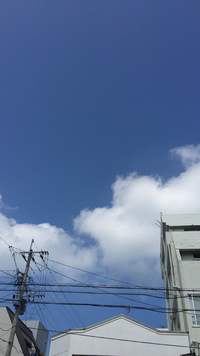 いい天気(*ﾟ▽ﾟ*)
