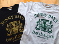 SUNNY DAYS × 原ハブ屋