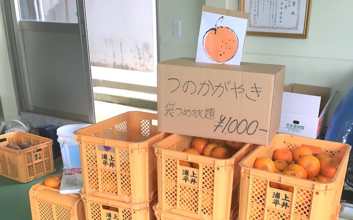 袋つめ放題