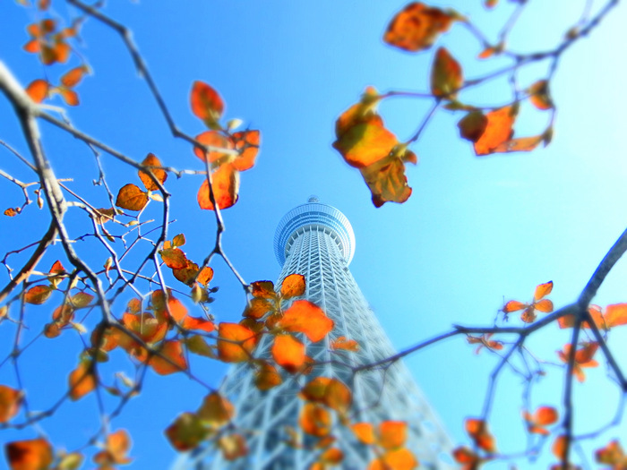 東京スカイツリー 外観