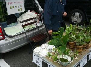 軽トラ市なう。