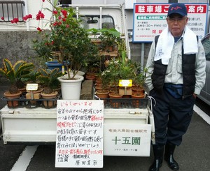 軽トラ市なう。