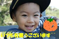 知って納得、たんかんウンチク♪
