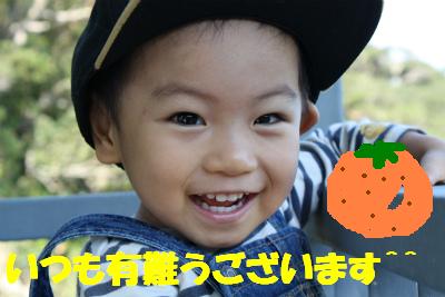 知って納得、たんかんウンチク♪