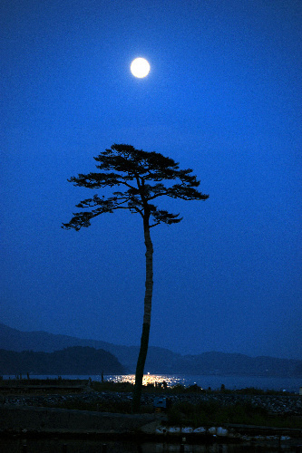 一年・・・