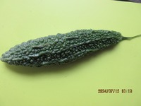 ありがたいことに 2024/07/12 13:47:08