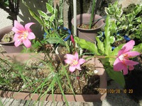 面倒くさがり？ 2024/08/30 14:09:53