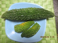今頃・・・・ 2024/09/29 14:10:59