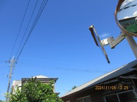 今日も 2024/11/05 13:53:34