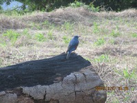 どこ、どこ、どこ～ 2024/12/05 14:04:53