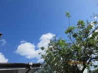 良かった！ 2024/12/09 13:27:42