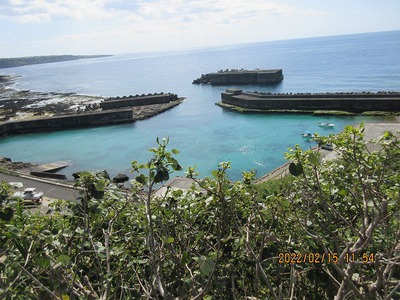 鹿浦の海