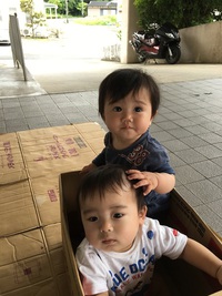おひさまだより