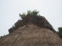 高倉を見に行きました