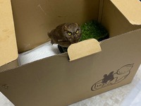 図書館講座を行います！