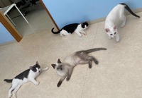 花火に気を付けて！