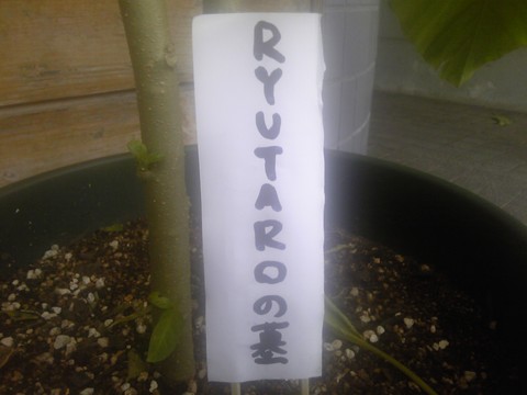 ryutarouが・・・
