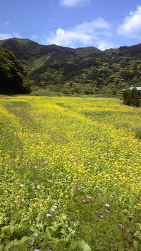 きょうという日