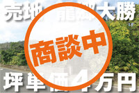 2025年04月21日