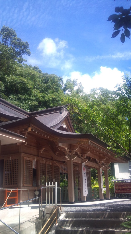 夏　到来　！