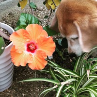 おはようございます
