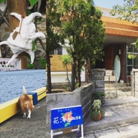 おはようございます。