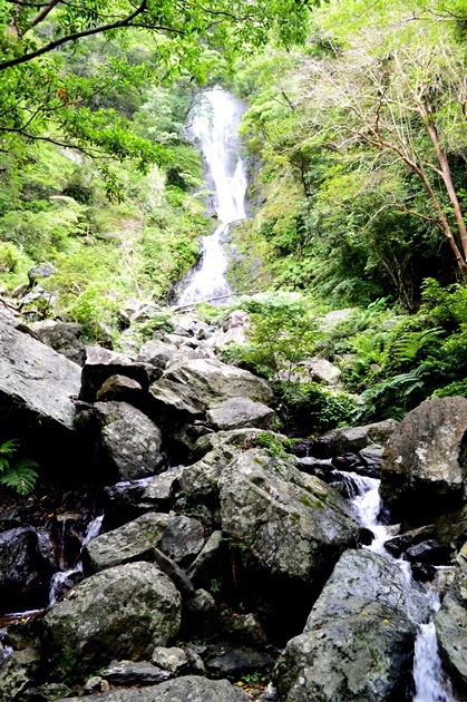 奄美群島観光サイト フナンギョの滝