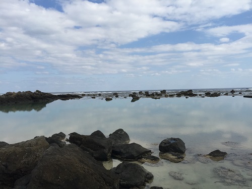 ドライブは海