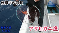結婚祝い金の導入を！