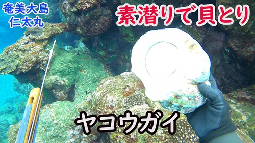 １/１タブレット！